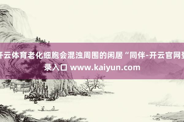 开云体育老化细胞会混浊周围的闲居“同伴-开云官网登录入口 www.kaiyun.com
