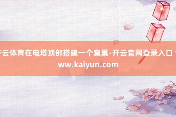 开云体育在电塔顶部搭建一个窠巢-开云官网登录入口 www.kaiyun.com