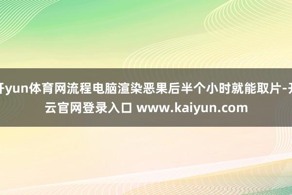 开yun体育网流程电脑渲染恶果后半个小时就能取片-开云官网登录入口 www.kaiyun.com