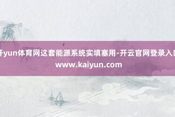开yun体育网这套能源系统实填塞用-开云官网登录入口 www.kaiyun.com