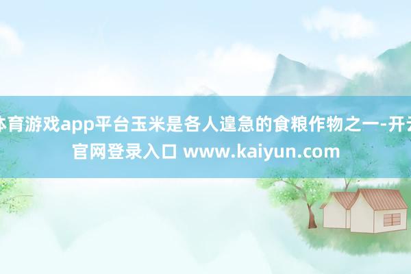 体育游戏app平台玉米是各人遑急的食粮作物之一-开云官网登录入口 www.kaiyun.com
