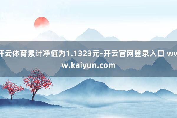 开云体育累计净值为1.1323元-开云官网登录入口 www.kaiyun.com