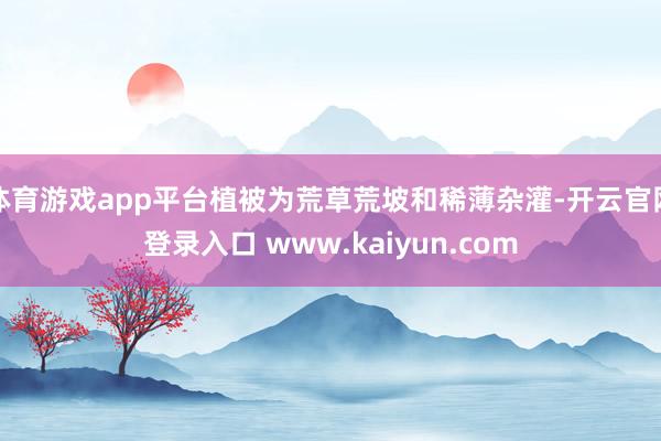 体育游戏app平台植被为荒草荒坡和稀薄杂灌-开云官网登录入口 www.kaiyun.com