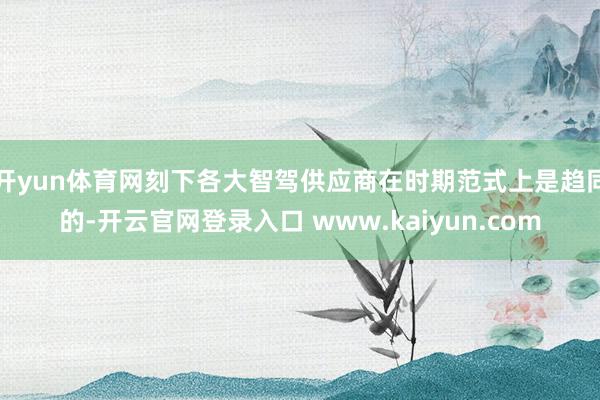 开yun体育网刻下各大智驾供应商在时期范式上是趋同的-开云官网登录入口 www.kaiyun.com