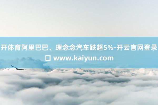 云开体育阿里巴巴、理念念汽车跌超5%-开云官网登录入口 www.kaiyun.com