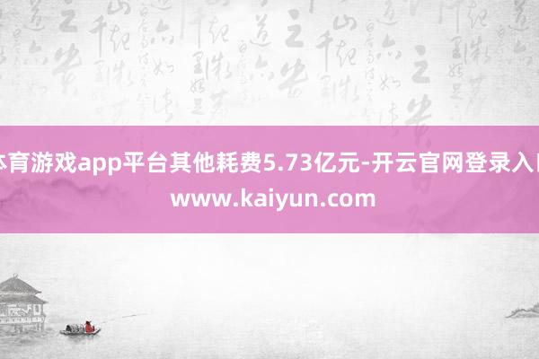 体育游戏app平台其他耗费5.73亿元-开云官网登录入口 www.kaiyun.com